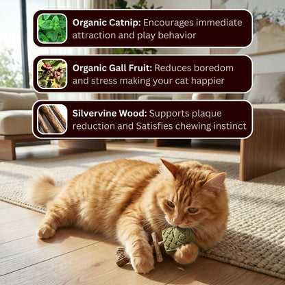 Catnip & Silvervine Chew