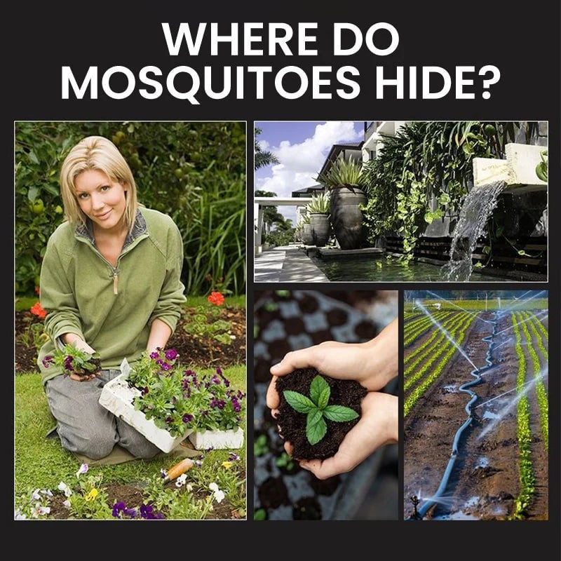 🔥Summer Sale 50% OFF🔥Solar Mosquito Zapper Light – Outdoor Garden Stake Lamp