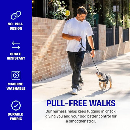 ✨The Dog Harness That Stops Pulling — Without Sacrificing Comfort ✨