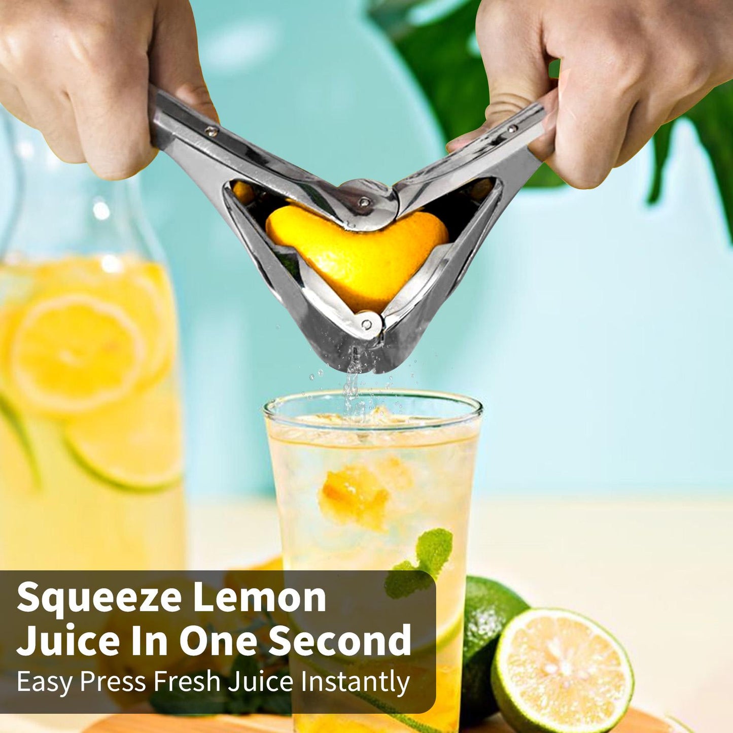 Citrus Squeezer | Stainless Steel or PP🍋
