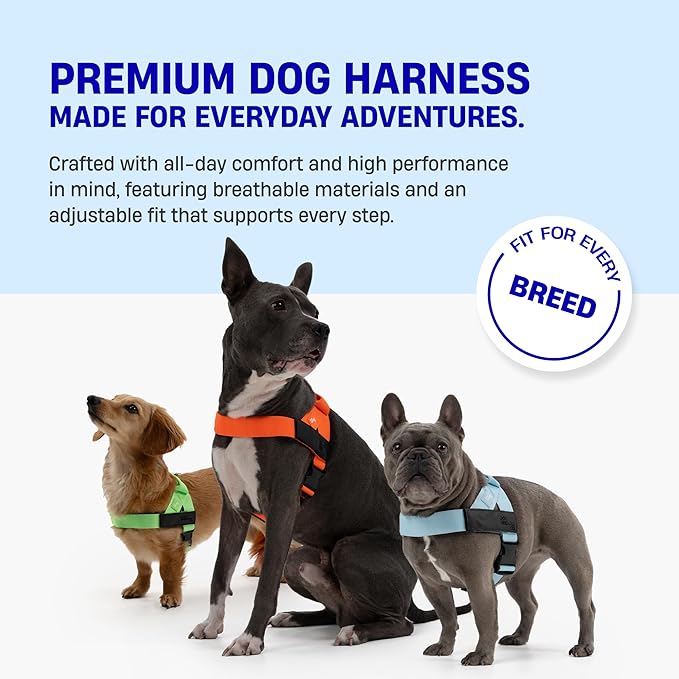 ✨The Dog Harness That Stops Pulling — Without Sacrificing Comfort ✨